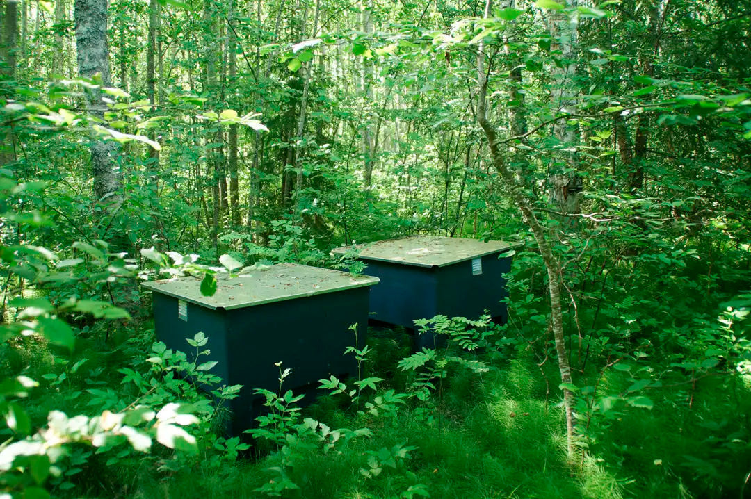 From Waste to Resource: Smarter Handling for Off-Grid Toilet Systems