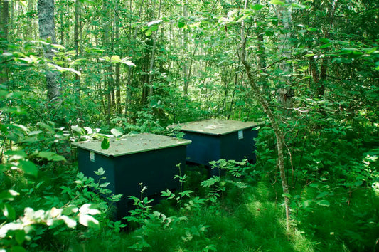 From Waste to Resource: Smarter Handling for Off-Grid Toilet Systems