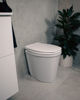 Picture of Urine toilet Separett Pee